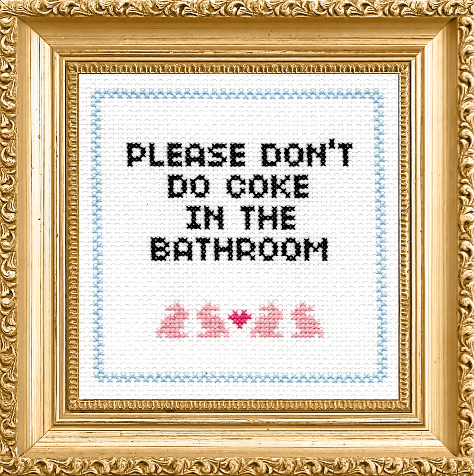 Please Don't Do Coke in the Bathroom - Subversive Cross Stitch - Cross Stitch Kit