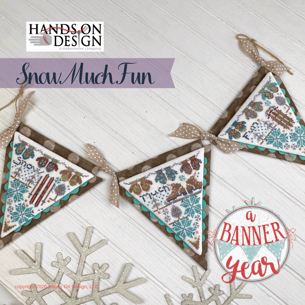 Snow Much Fun (A Banner Year #2) - Hands On Design - Cross Stitch Pattern